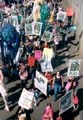 IWDmarch31p