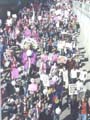IWDmarch33p