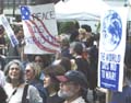 NYCMarch2-4aCD