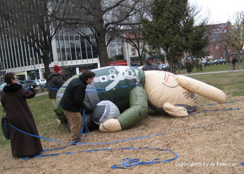 collapsed Bush Baloon