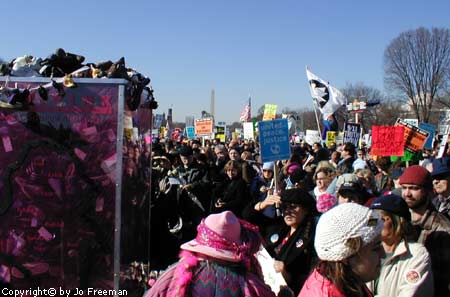 CodePink collected shoes