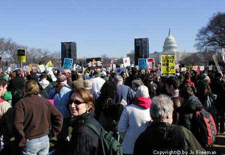 crowd at rally on the Mall