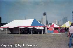 many tents on an open field in the foreground with the allas skyline in the background